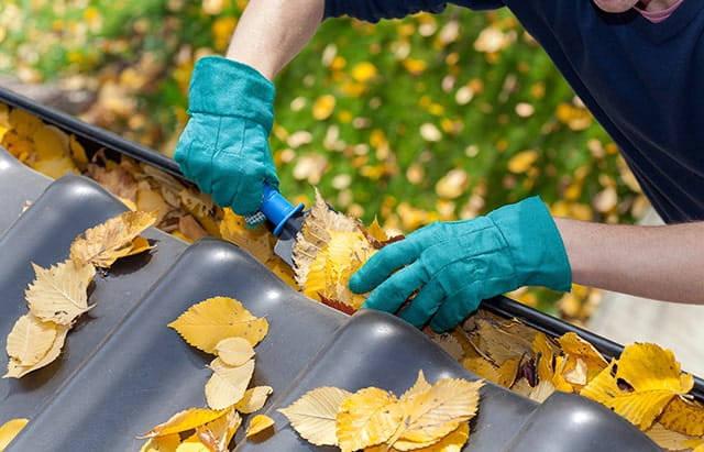 Очистка желоба от осенних листьев
