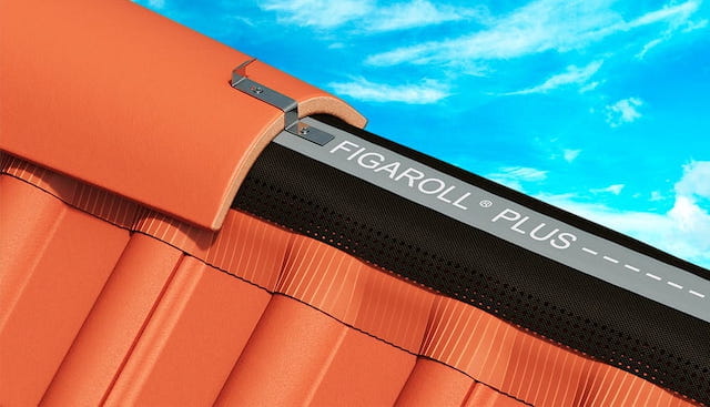 Устройство конька и хребта